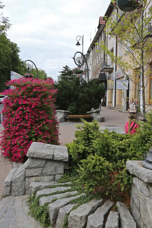 Apartament Giewont Krupowki Appartement Zakopane Buitenkant foto